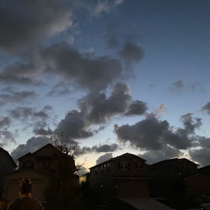 Meet your Posher, Celeste